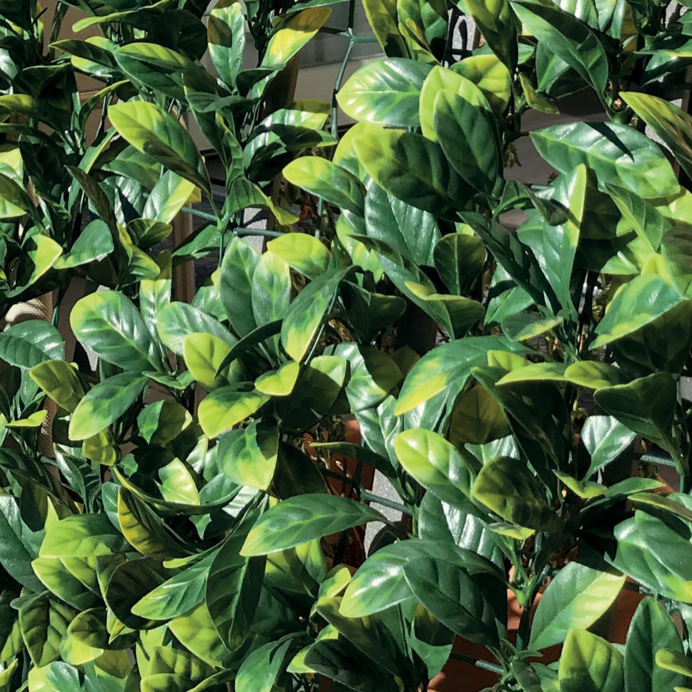 SIEPE SINTETICA SU RETE DI PLASTICA DIVY 3D PLUS LAURUS 1X3 M