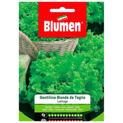 SEMI LATTUGA GENTILINA BIONDA DA TAGLIO