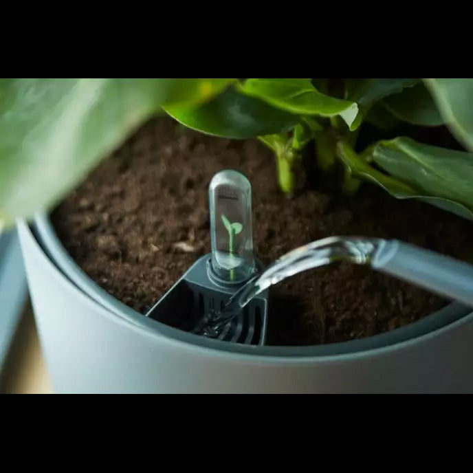 SISTEMA DI AUTOIRRIGAZIONE SELF-WATERING INSERT 17CM LIVING BLACK