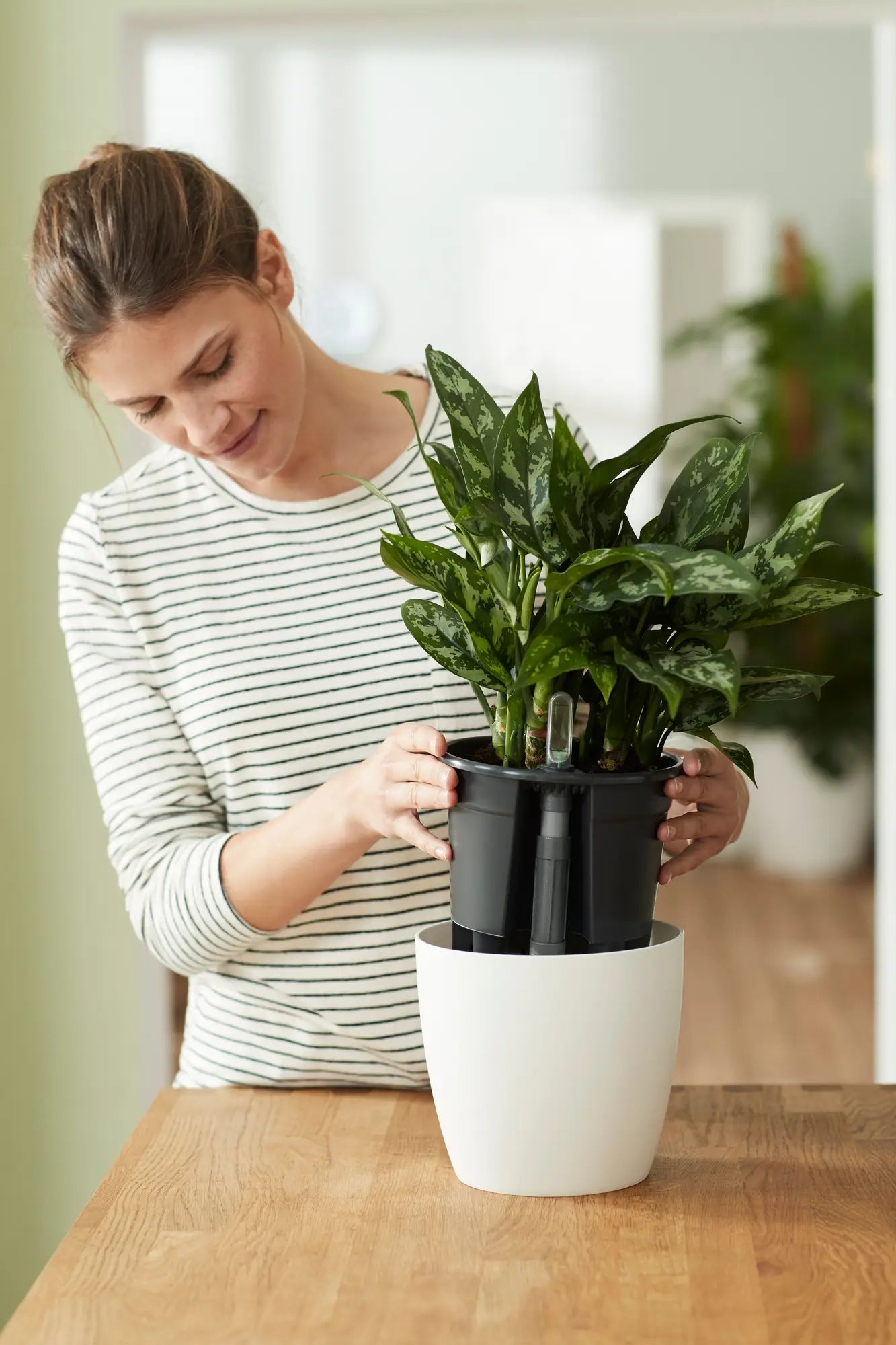 Vaso Inserto autoirrigante D 13 x H 12 cm Living Black ELHO