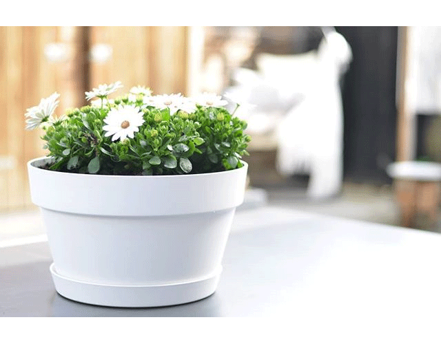 VASO LOFT URBAN BOWL 35CM COLORE A SCELTA