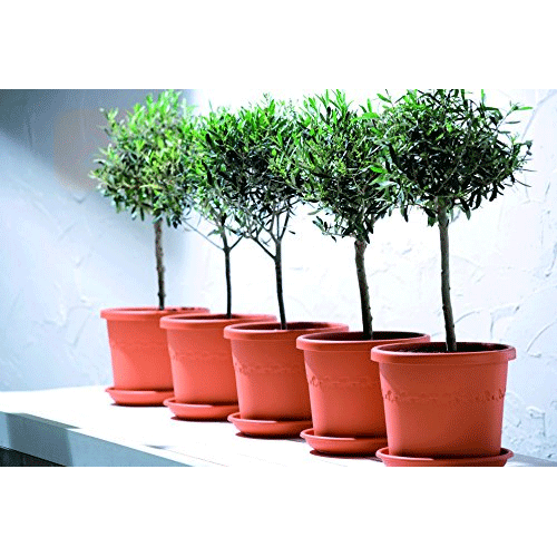 VASO ALGARVE CILINDRO 35CM COLORE A SCELTA