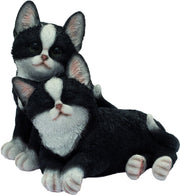 GATTINI GIOCHERELLONI 19CM VETRORESINA