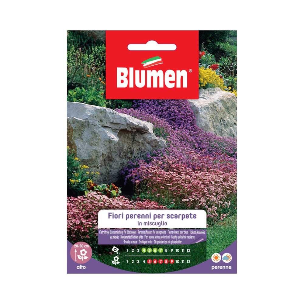 SEMI FIORI PERENNI PER SCARPATE IN MIX BLUMEN