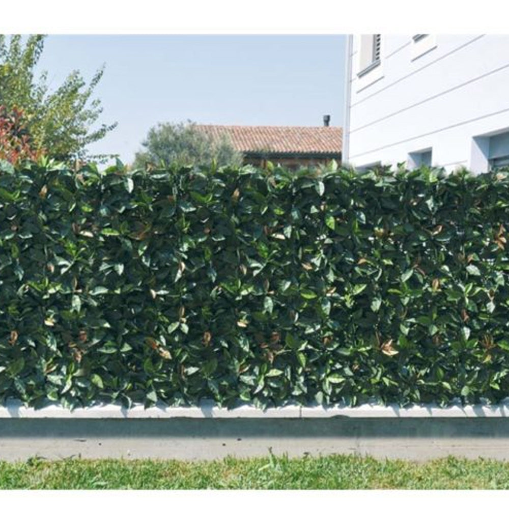 SIEPE VERDECOR A PANNELLI FOGLIE TIPO PHOTINIA 0,50X1MT