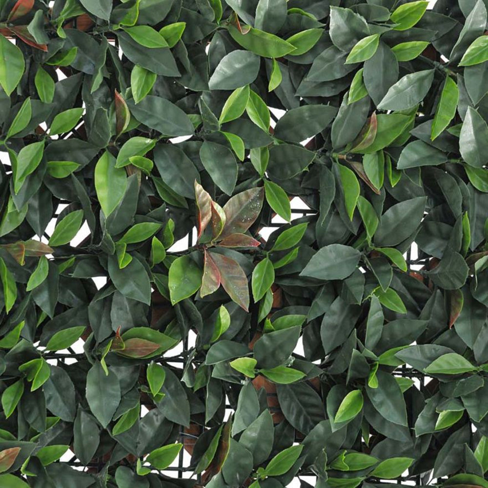 SIEPE VERDECOR A PANNELLI FOGLIE TIPO PHOTINIA 0,50X1MT
