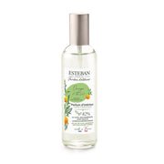VAPORIZZATORE SPRAY PER AMBIENTE 100ML ARANCIO E TE' VERDE