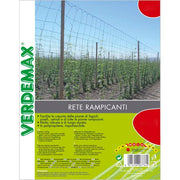 RETE PER PIANTE RAMPICANTI MT 1,5X10