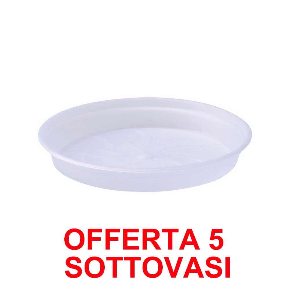 OFFERTA 5 SOTTOVASO  GREEN BASICS ORCHID SAUCER 14CM TRANS