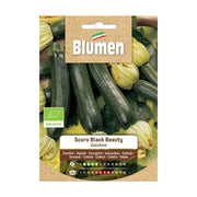 SEMI ZUCCHINO SCURO BEAUTY BIOLOGICO BLUMEN