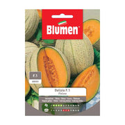 SEMI MELONE DELIZIA F1 IBRIDO BLUMEN