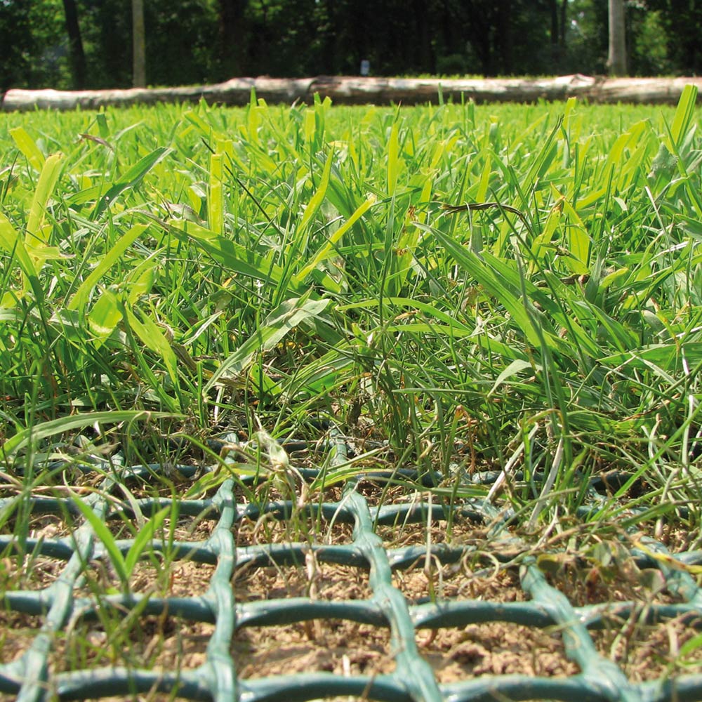 RETE SALVAPRATO IN PLASTICA PER CANI 1X5 M VERDE