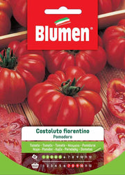 SEMI POMODORO COSTOLUTO FIORENTINO