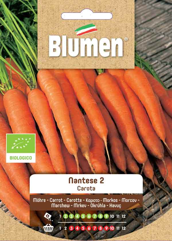 SEMI CAROTA NANTESE 2 BIO