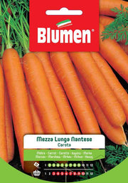 SEMI CAROTA MEZZA LUNGA NANTESE