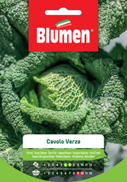 SEMI DI CAVOLO VERZA