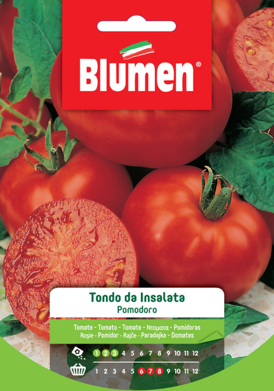 SEMI DI POMODORO TONDO DA INSALATA BLUMEN