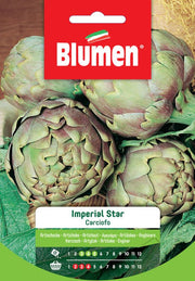 SEMI CARCIOFO ROMANESCO BLUMEN