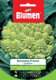 SEMI CAVOLFIORE ROMANESCO PRECOCE