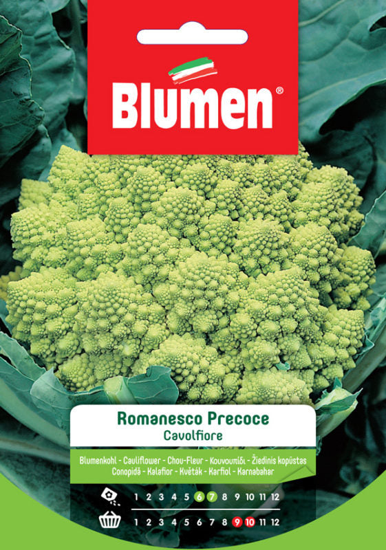 SEMI CAVOLFIORE ROMANESCO PRECOCE