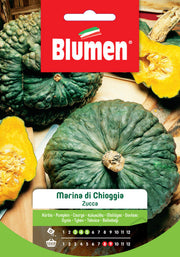 SEMI ZUCCA MARINA DI CHIOGGIA BLUMEN