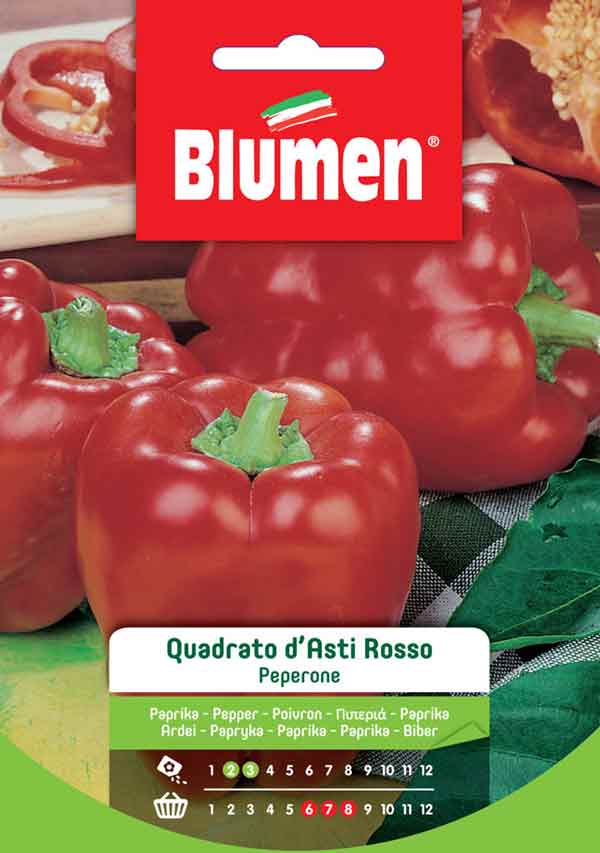 PEPERONE QUADRATO D’ASTI ROSSO BLUMEN