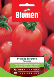 SEMI DI POMODORO PRINCIPE BORGHESE BLUMEN