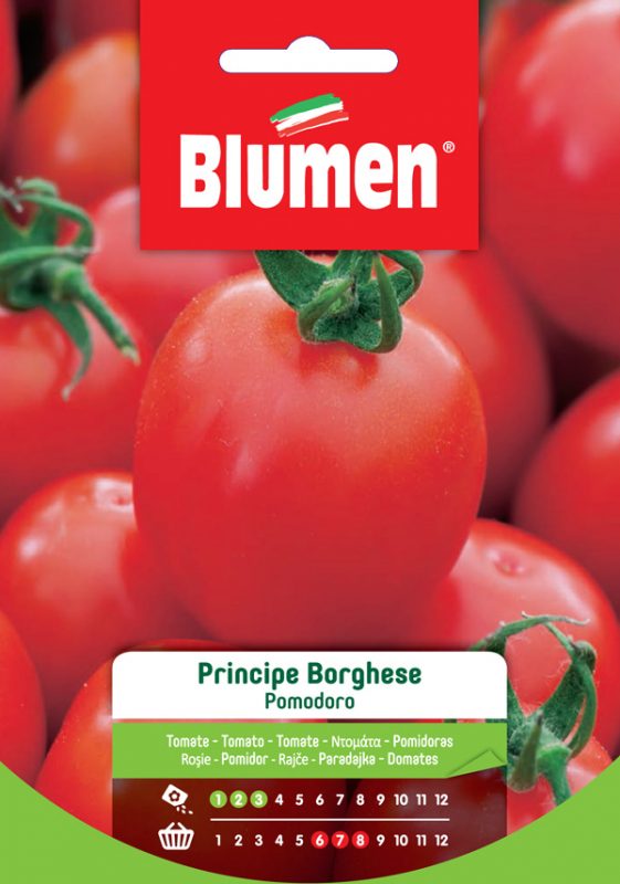 SEMI DI POMODORO PRINCIPE BORGHESE BLUMEN