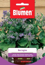 SEMI DI BORRAGINE