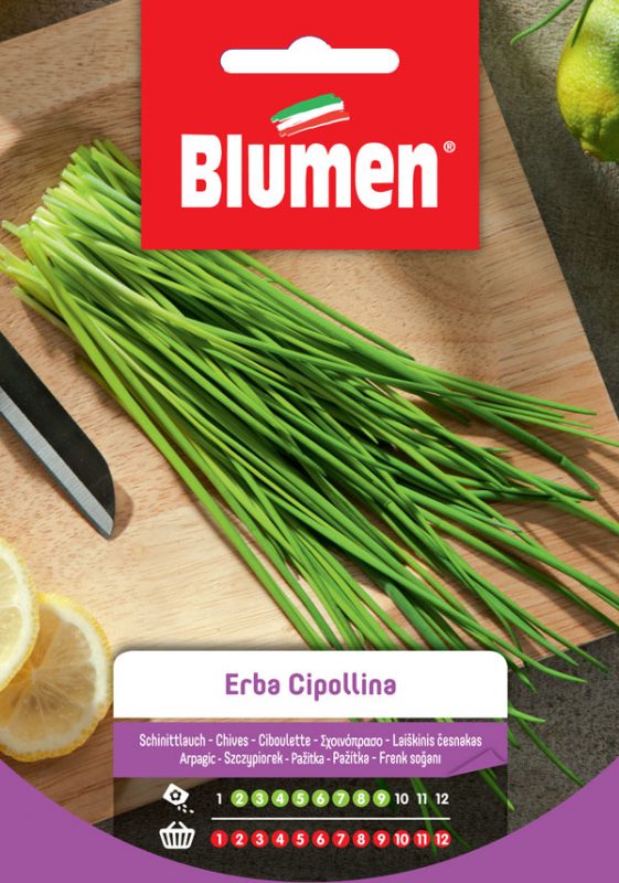 SEMI DI ERBA CIPOLLINA BLUMEN
