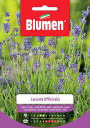 SEMI LAVANDA OFFICINALIS