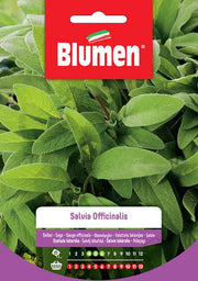 SEMI SALVIA OFFICINALIS