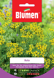 SEMI DI RUTA BLUMEN