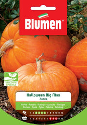 SEMI ZUCCA HALLOWEEN BIG MAX