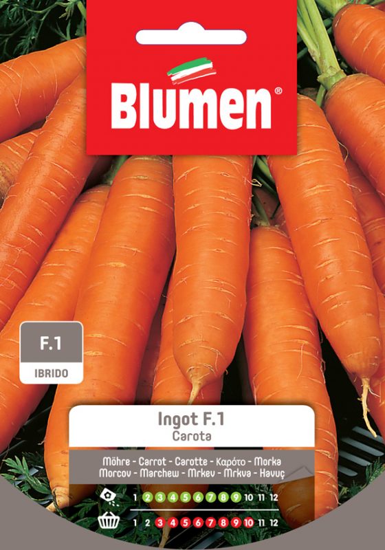 SEMI CAROTA INGOT IBRIDO