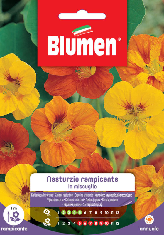 SEMI NASTURZIO RAMPICANTE MIX BLUMEN