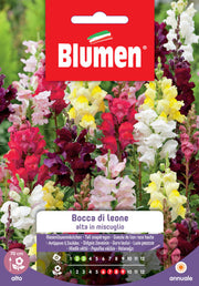 SEMI BOCCA DI LEONE ALTA MIX