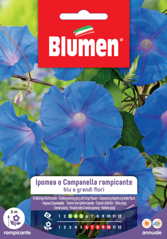 SEMI IPOMEA RAMPICANTE BLU