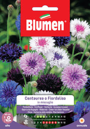 SEMI CENTAUREA FIORDALISO MIX BLUMEN