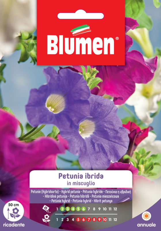 SEMI PETUNIA HYBRIDA MIX