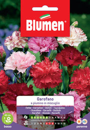 SEMI GAROFANO A PIUMINO MIX