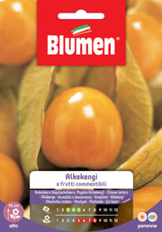SEMI ALKEKENGI FRUTTI COMMESTIBILI