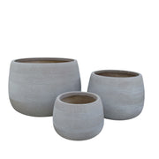 SET VASI TULIPANO