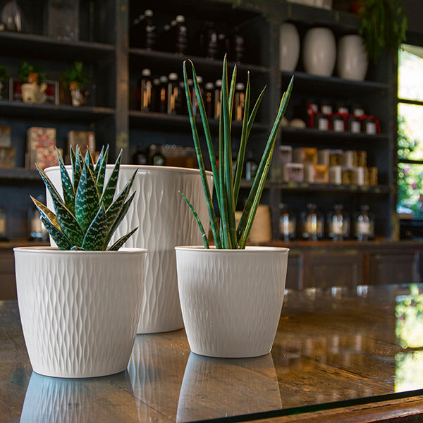 VASO LIBERTY 20CM COLORE A SCELTA