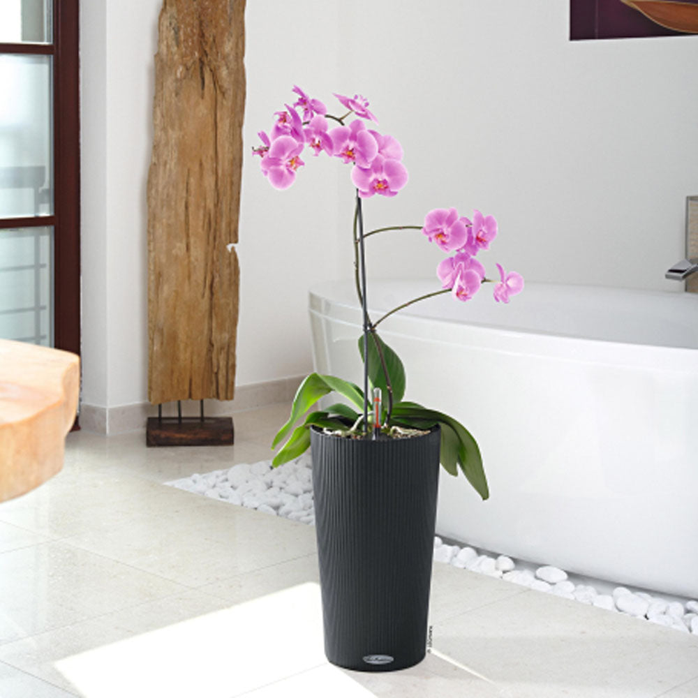 VASO CILINDRO COLOR D23XH41CM ARDESIA OPACO