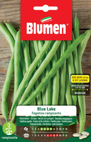 SEMI FAGIOLINO RAMPICANTE BLUE LAKE