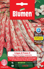 SEMI FAGIOLI BORLOTTI RAMPICANTI LINGUA DI FUOCO 3 BLUMEN