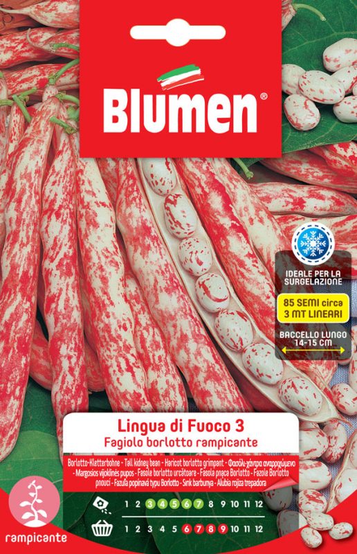 SEMI FAGIOLI BORLOTTI RAMPICANTI LINGUA DI FUOCO 3 BLUMEN