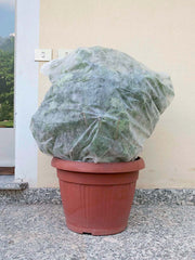 SACCOCLIMA PER PIANTE IN VASO  1,60x2 - Ø 1,00 3PZ