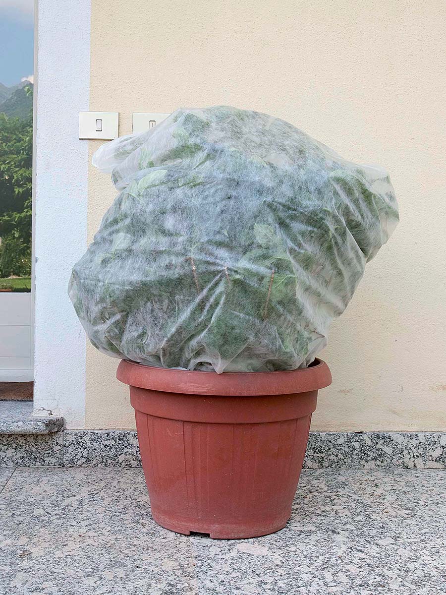 SACCOCLIMA PER PIANTE IN VASO 1x1,60M - Ø 0,60 4PZ